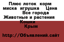 Плюс лоток, корм, миска, игрушка. › Цена ­ 50 - Все города Животные и растения » Кошки   . Крым